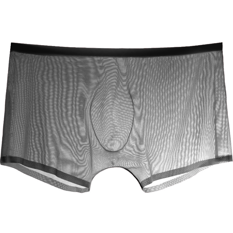 Male Boxer Men Briefs Sheer un - Trunk Breathable Men review and price