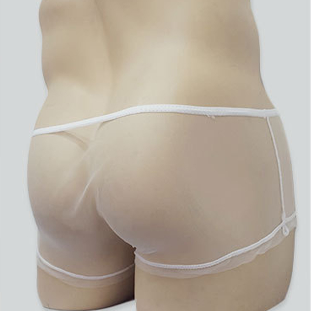 Male Boxer Men Briefs Sheer un - Trunk Breathable Men review and price